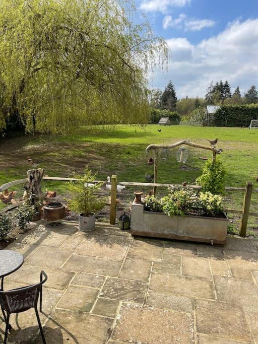 Forest View Shepherd Hut Ewhurst Extérieur photo