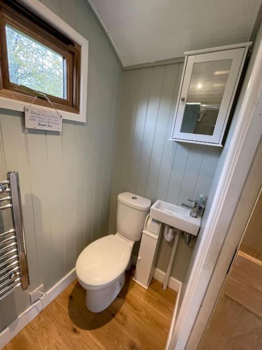 Forest View Shepherd Hut Ewhurst Extérieur photo