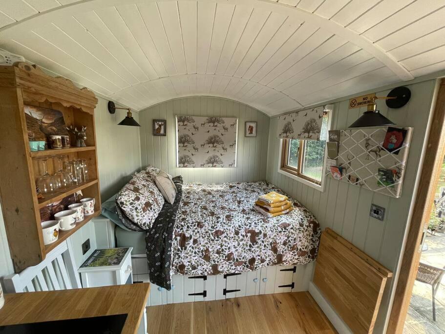 Forest View Shepherd Hut Ewhurst Extérieur photo