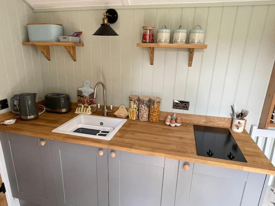 Forest View Shepherd Hut Ewhurst Extérieur photo