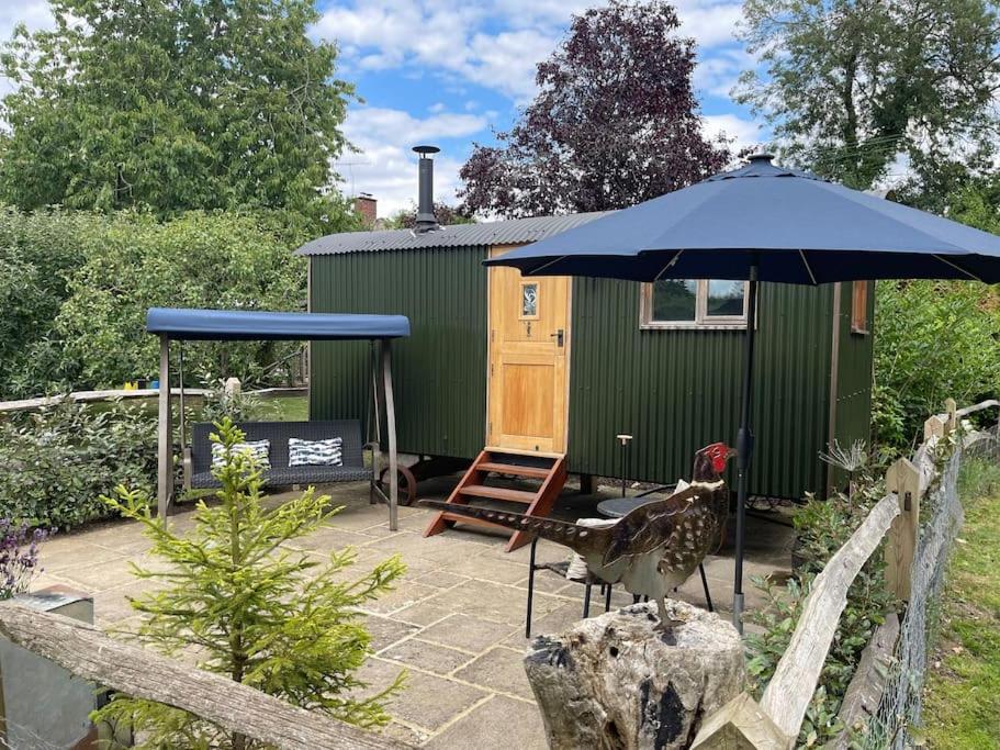 Forest View Shepherd Hut Ewhurst Extérieur photo