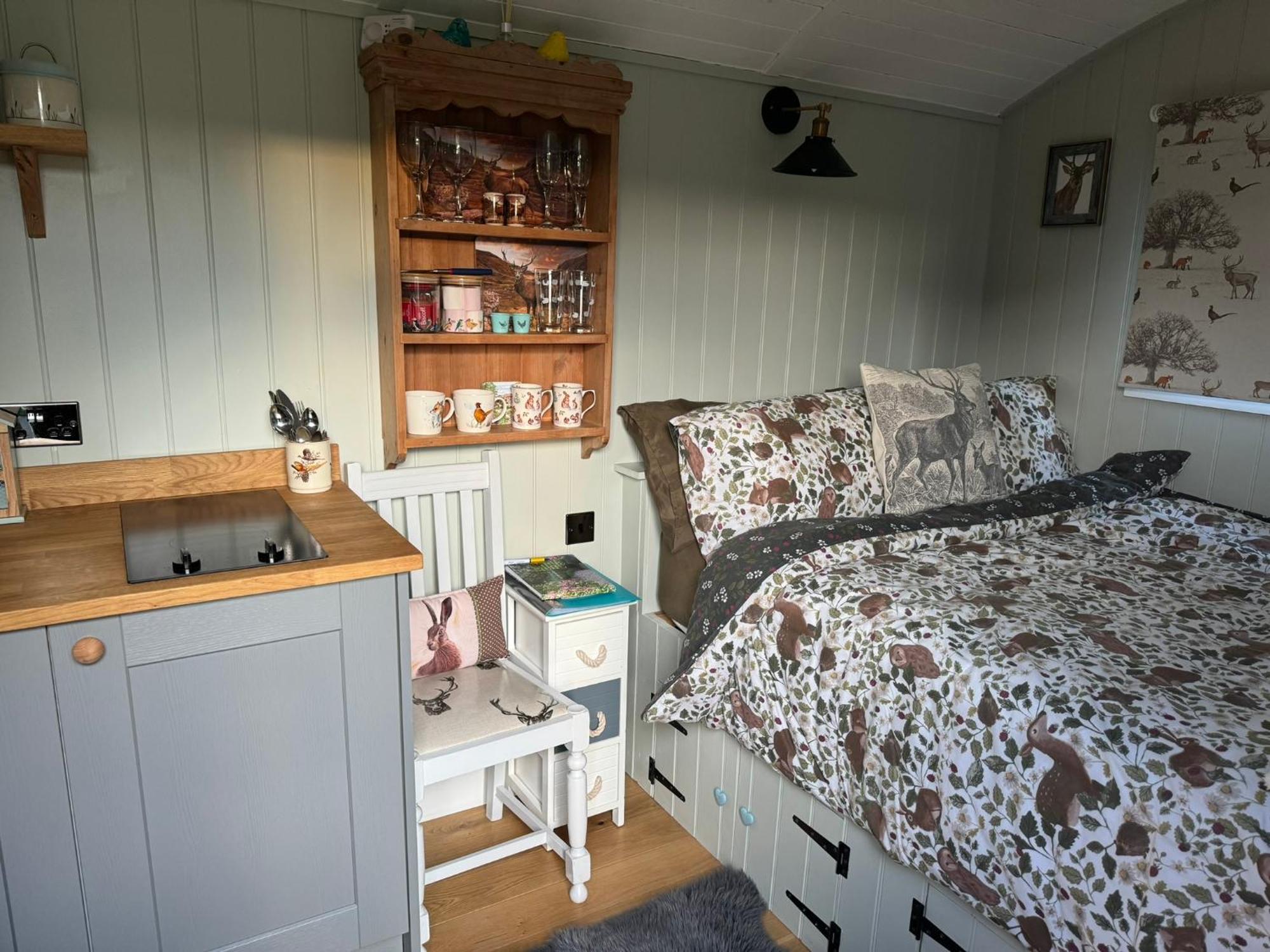 Forest View Shepherd Hut Ewhurst Extérieur photo